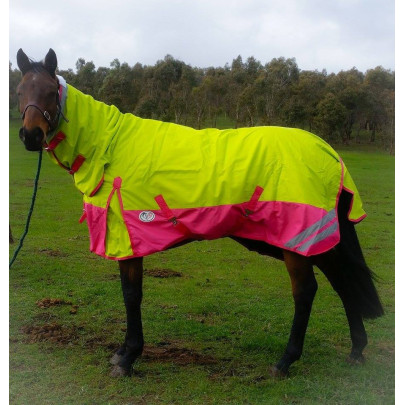 1200D Winter 180g Combo Horse RugsLime Pink