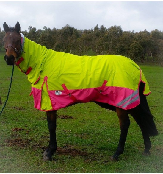 1200D Winter 180g Combo Horse Rugs Lime Pink|Horse Rugs | LOVE MY HORSE - Australia