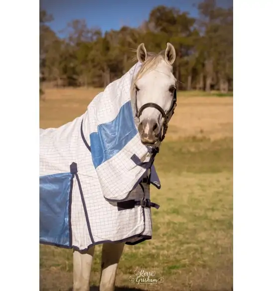 Miniature Cotton Soft Mesh Hybrid Horse Rug Blue|Horse Rugs | LOVE MY HORSE - Australia