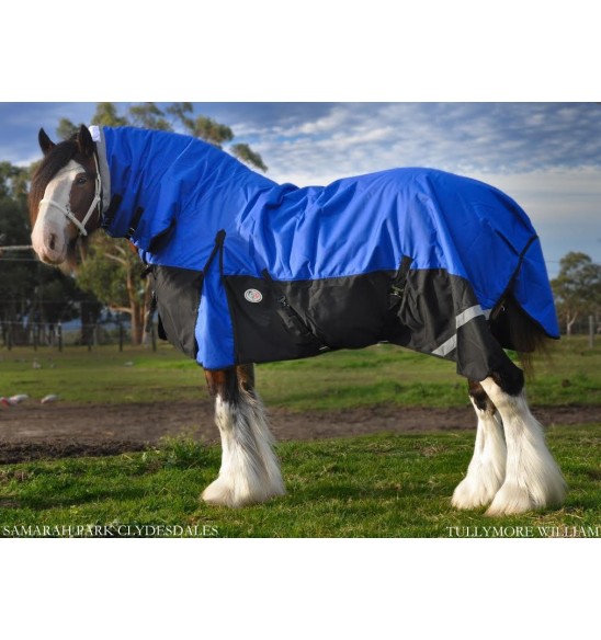 Clydesdale Winter Combo Heavy Horse Rugs Blue|Horse Rugs | LOVE MY HORSE - Australia