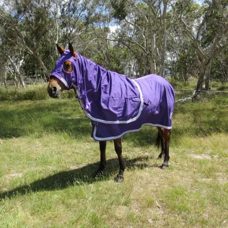 6'0 Cotton Show Horse Rugs Purple | LOVE MY HORSE