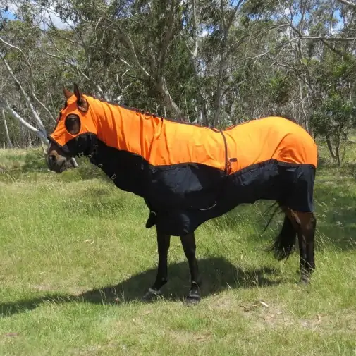 Cotton Show Set Horse Rugs Orange|Horse Rugs | LOVE MY HORSE - Australia