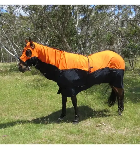 Cotton Show Set Horse Rugs Orange|Horse Rugs | LOVE MY HORSE - Australia