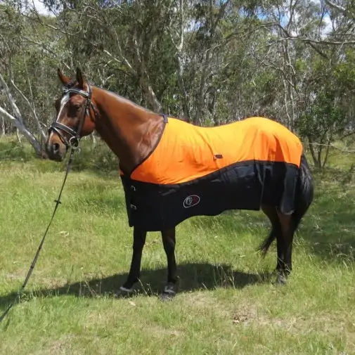 Cotton Show Set Horse Rugs Orange|Horse Rugs | LOVE MY HORSE - Australia