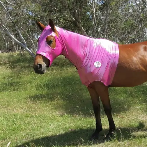 Lycra Skinny Horse Hood Glitter Bling Pink|Horse Rugs | LOVE MY HORSE - Australia