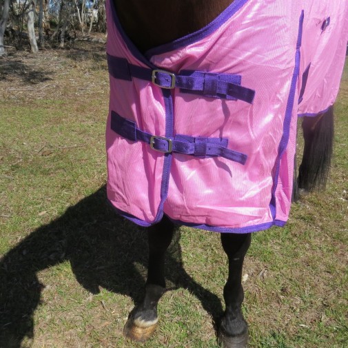 Horse wearing Love my Horse soft mesh rug showing double chest buckles