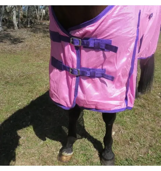 Horse wearing Love my Horse soft mesh rug showing double chest buckles