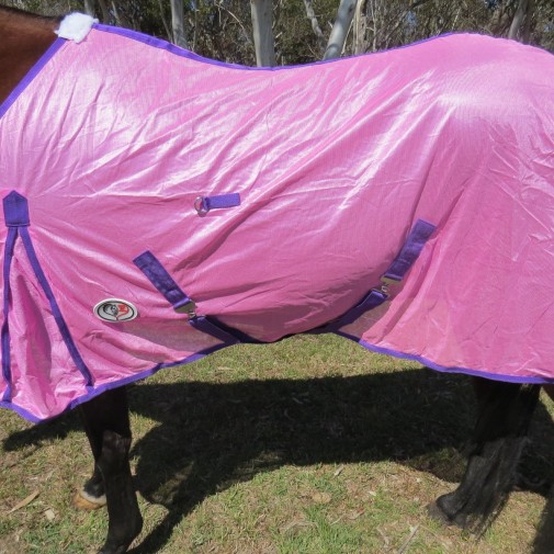 Horse wearing Love my Horse soft mesh rug pink