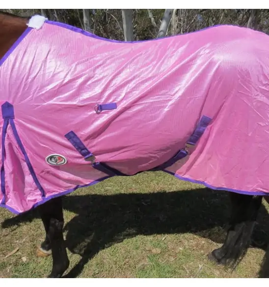 Horse wearing Love my Horse soft mesh rug pink