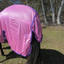 Horse wearing Love my Horse soft mesh rug pink showing tail flap and reflectors