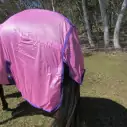 Horse wearing Love my Horse soft mesh rug pink showing tail flap and reflectors