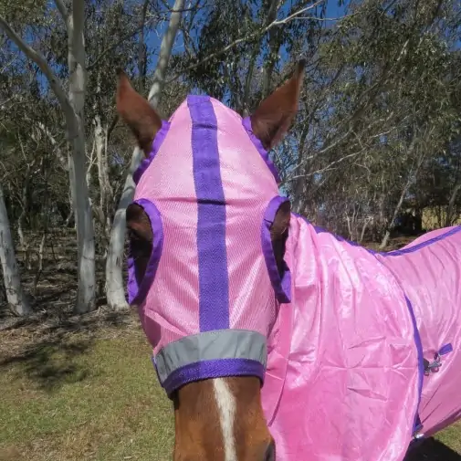 Horse wearing Love my Horse soft mesh hood set pink