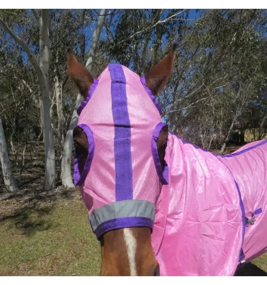 Horse wearing Love my Horse soft mesh hood set pink