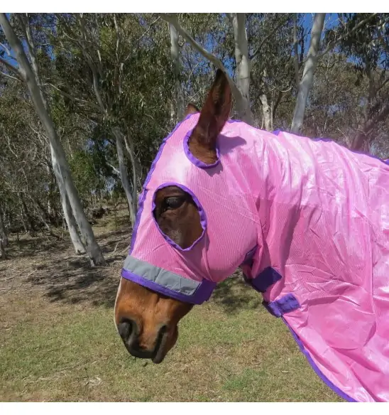 Horse wearing Love my Horse soft mesh hood