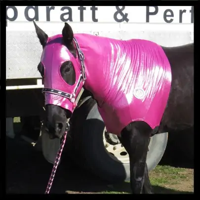 Lycra Skinny Horse Hood Glitter Bling Pink 2