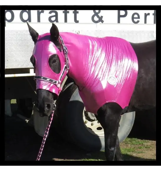 Lycra Skinny Horse Hood Glitter Bling Pink|Horse Rugs | LOVE MY HORSE - Australia