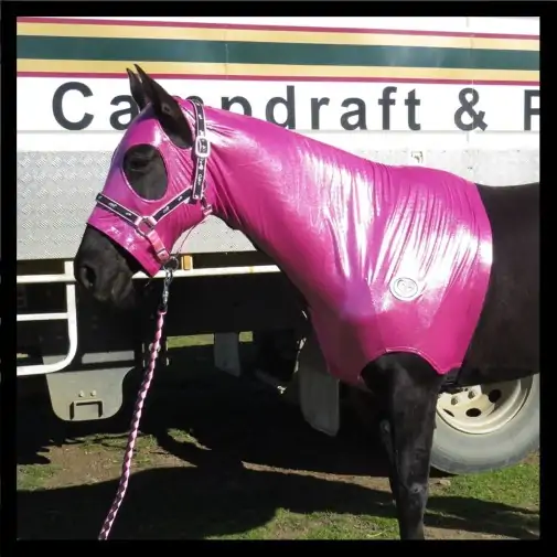 Lycra Skinny Horse Hood Glitter Bling Pink|Horse Rugs | LOVE MY HORSE - Australia