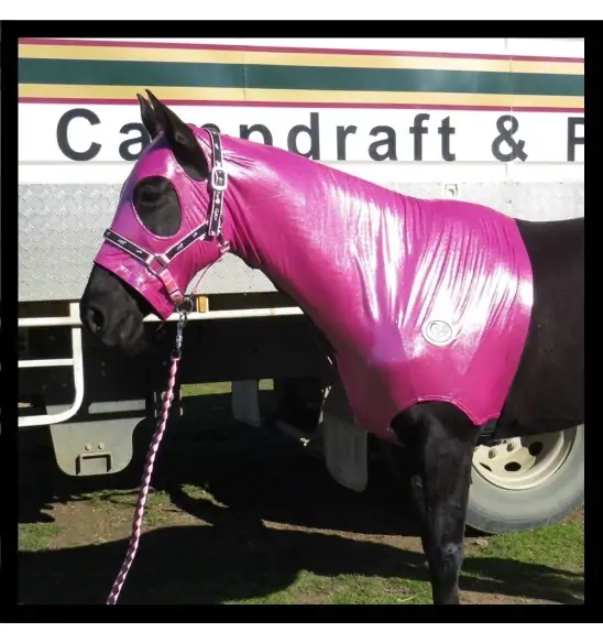 Lycra Skinny Horse Hood Glitter Bling Pink|Horse Rugs | LOVE MY HORSE - Australia