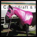Lycra Skinny Horse Hood Glitter Bling Pink|Horse Rugs | LOVE MY HORSE - Australia