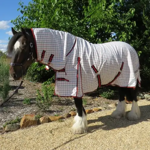 Big horse wearing Love My Horse Clydesdale Poly Cotton Combo with red trim