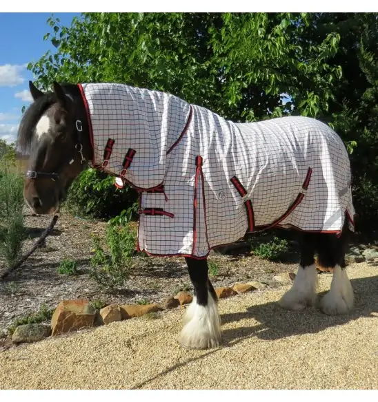 Big horse wearing Love My Horse Clydesdale Poly Cotton Combo with red trim
