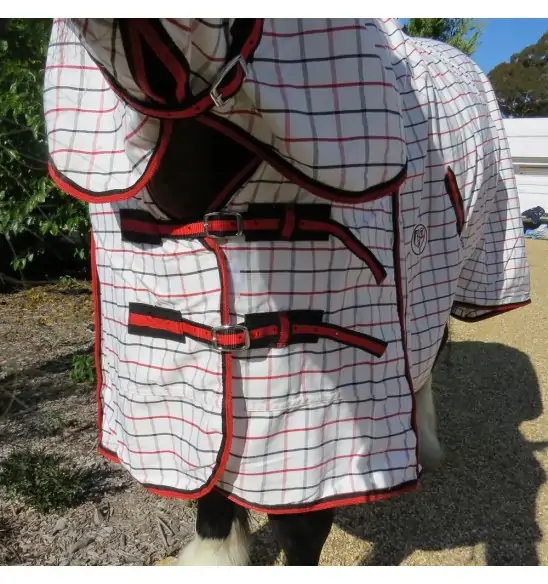 Big horse wearing Love My Horse Clydesdale Poly Cotton Combo with red trim showing generous chest fit