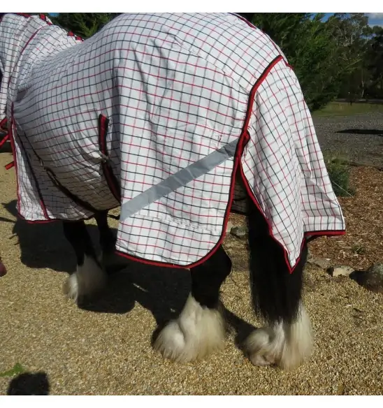 Big horse wearing Love My Horse Clydesdale Poly Cotton Combo with red trim