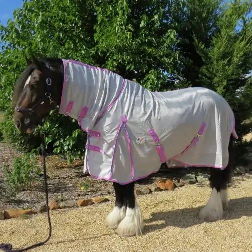 Big horse wearing Love My Horse silver mesh combo with pink trim