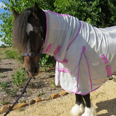 Big horse wearing Love My Horse silver mesh combo with pink trim 2