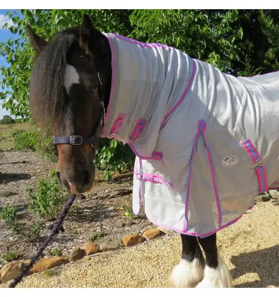 Big horse wearing Love My Horse silver mesh combo with pink trim