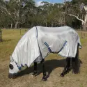 Horse grazing wearing Love My Horse silver duramesh hooded combo with blue trim