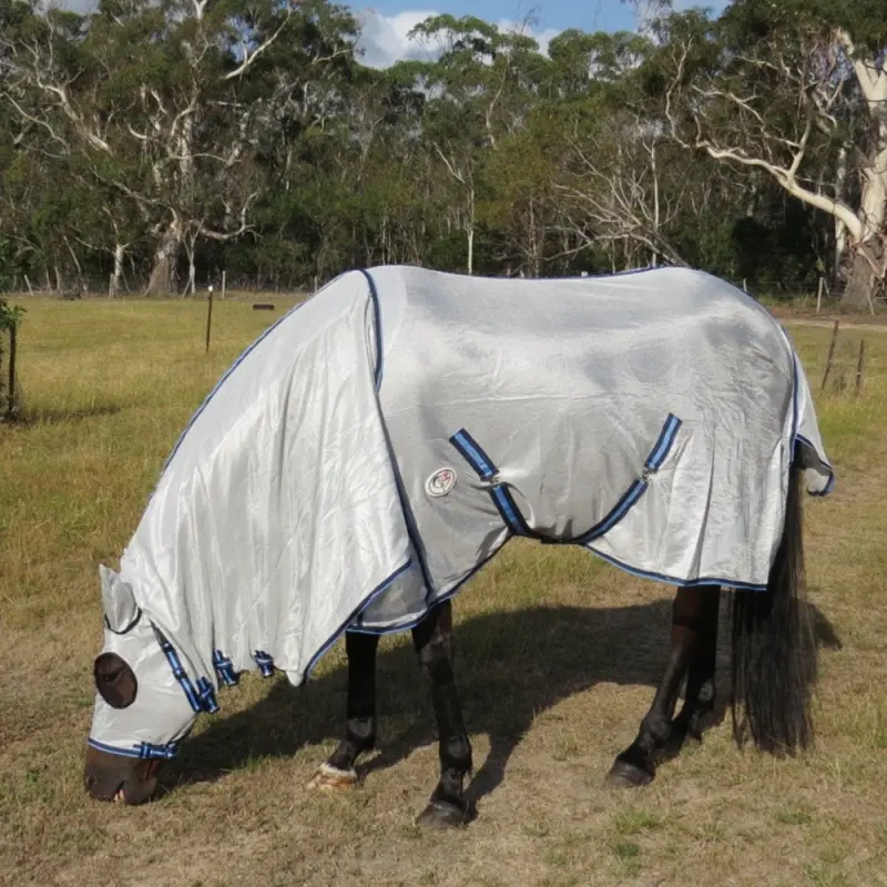 Horse grazing wearing Love My Horse silver duramesh hooded combo with blue trim