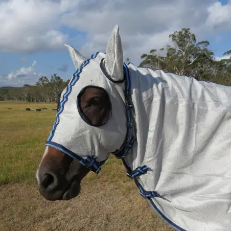 Face of horse wearing Love My Horse silver duramesh hooded combo with eye holes and covered ears