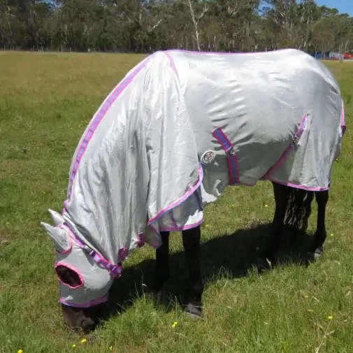 Horse grazing wearing silver Love My Horse Dura Mesh Hooded Combo with pink trim