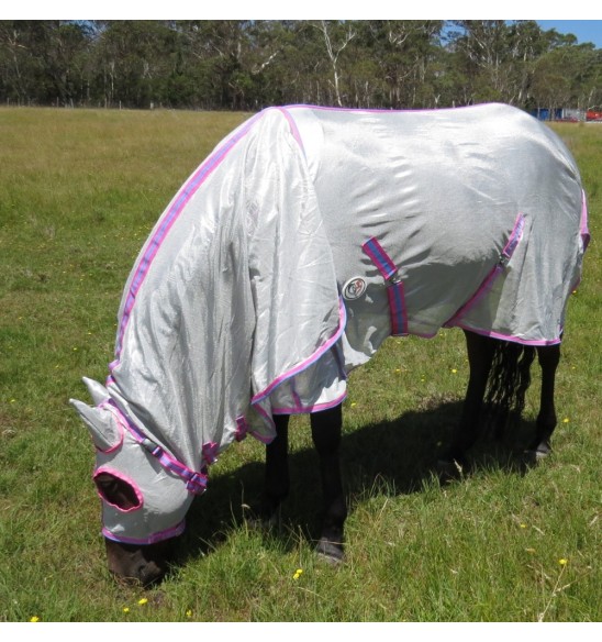 Horse grazing wearing silver Love My Horse Dura Mesh Hooded Combo with pink trim