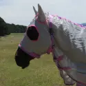 Face of horse wearing silver Love My Horse Dura Mesh Hooded Combo with eye holes and ear coverage and throat latch