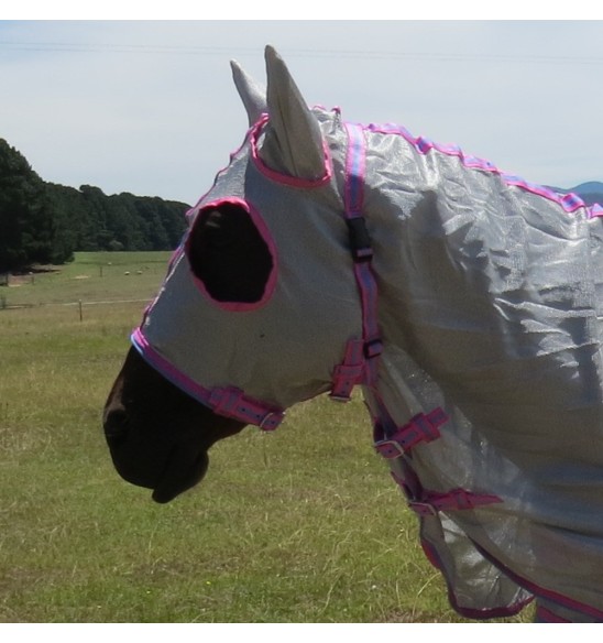 Face of horse wearing silver Love My Horse Dura Mesh Hooded Combo with eye holes and ear coverage and throat latch