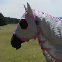 Face of horse wearing silver Love My Horse Dura Mesh Hooded Combo with eye holes and ear coverage and throat latch