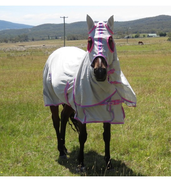 Horse wearing silver Love My Horse Dura Mesh Hooded Combo with pink trim