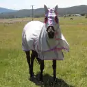 Horse wearing silver Love My Horse Dura Mesh Hooded Combo with pink trim