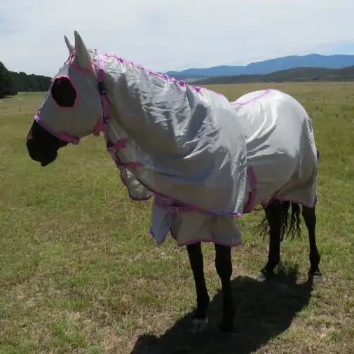Horse wearing silver Love My Horse Dura Mesh Hooded Combo with full face coverage, eye holes and ears covered