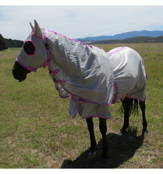 Horse wearing silver Love My Horse Dura Mesh Hooded Combo with full face coverage, eye holes and ears covered