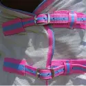 Chest buckles of silver Love My Horse Dura Mesh Hooded Combo with pink trim
