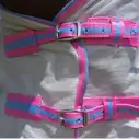 Chest buckles of silver Love My Horse Dura Mesh Hooded Combo with pink trim