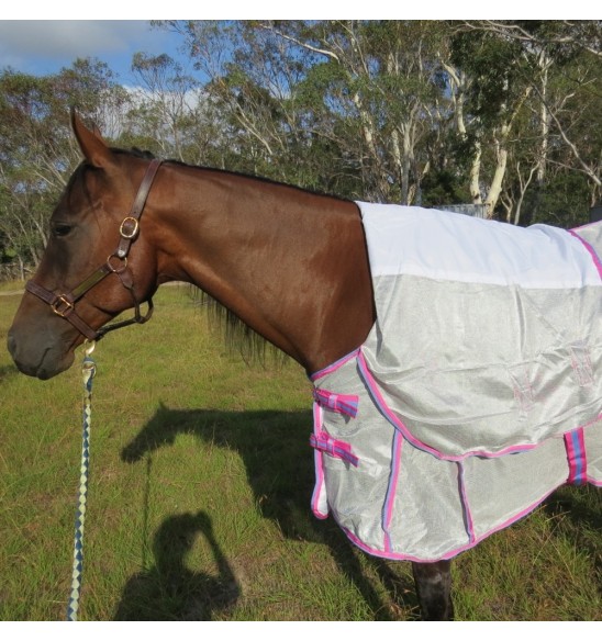 Bay horse wearing silver Love My Horse  duramesh combo with satin lining