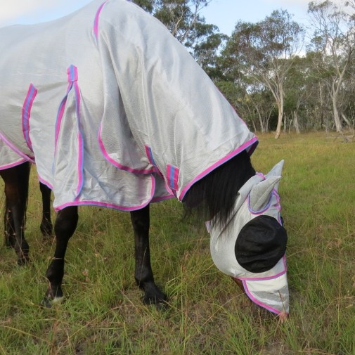 Bay horse wearing silver duramesh combo with pink trim with matching duramesh face mask