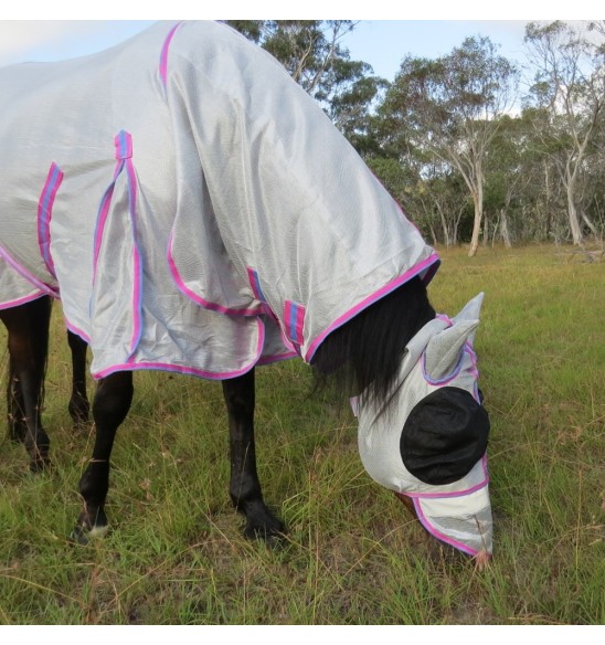 Bay horse wearing silver duramesh combo with pink trim with matching duramesh face mask