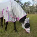 Bay horse wearing silver duramesh combo with pink trim with matching duramesh face mask