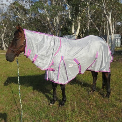 Bay horse wearing silver duramesh combo with pink trim