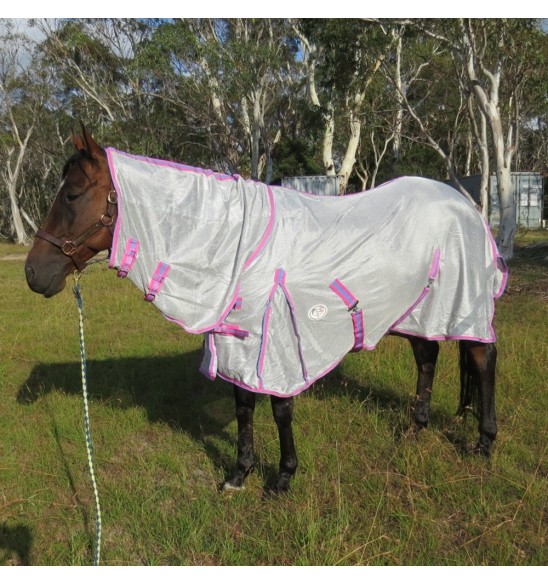 Bay horse wearing silver duramesh combo with pink trim